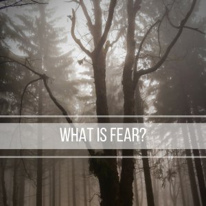 What is FEAR
