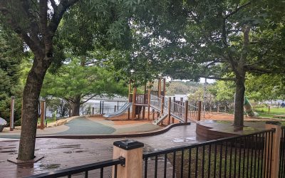 10 things to do with young children around Mt Riverview